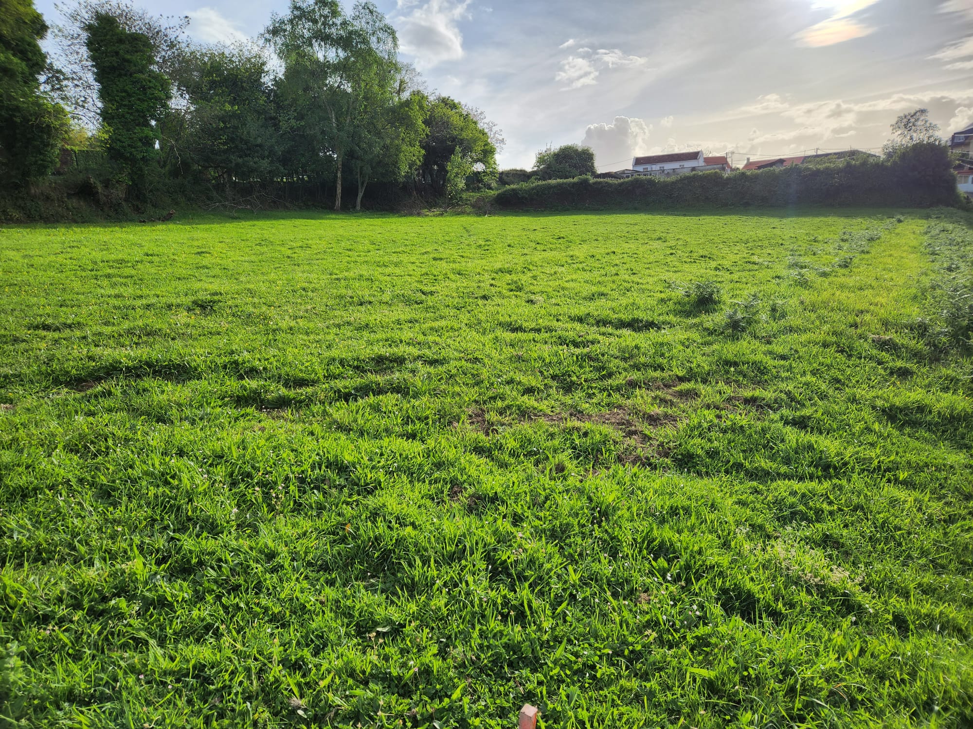 2c4c050e-8fa0-4d88-a183-82ce2b8f6317