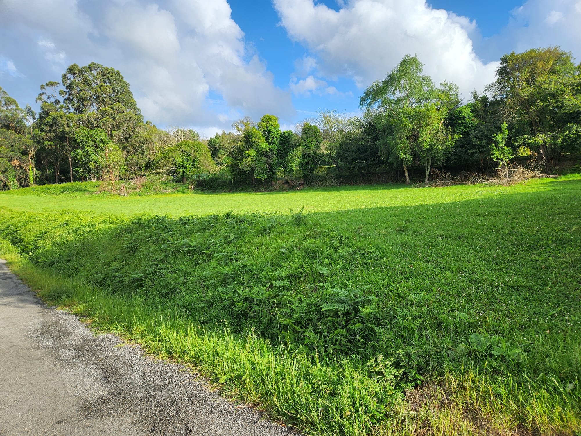 313b6355-51a8-429a-a90e-9a4f95fa9d73