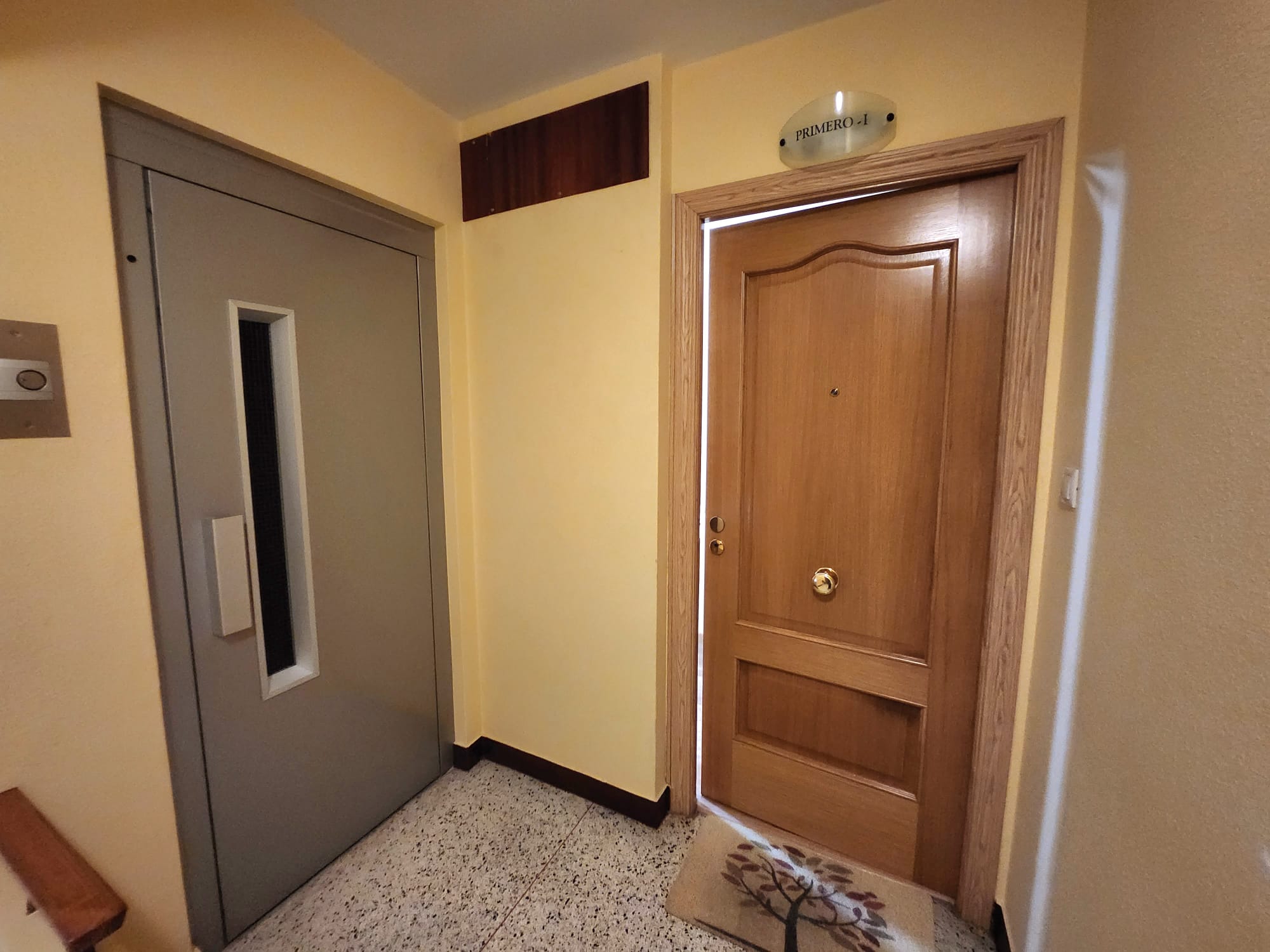 38c8c370-80f9-4e36-9cc7-7c845217b795