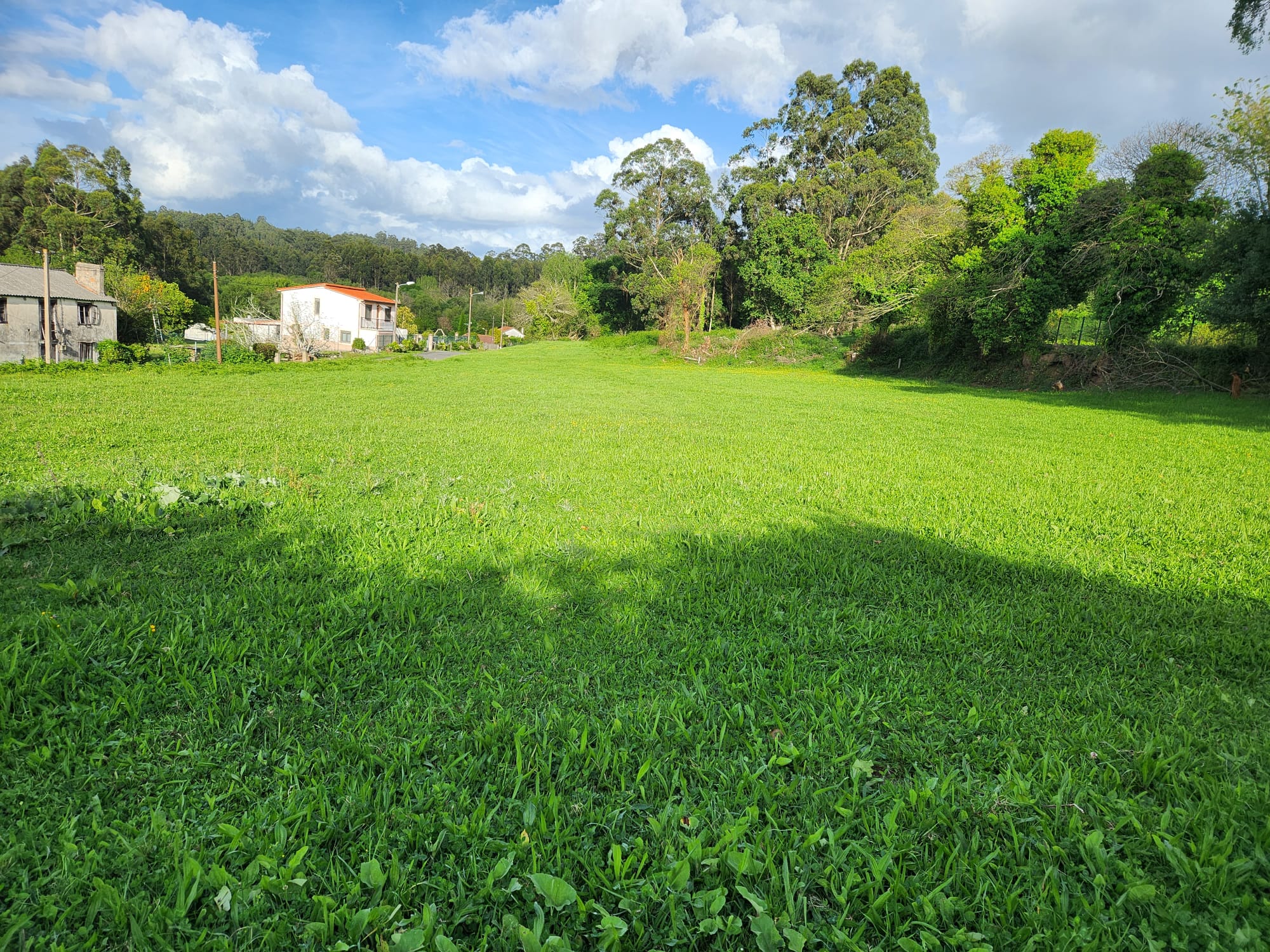 405bf5ff-2803-4711-bf57-a328e9e615d5