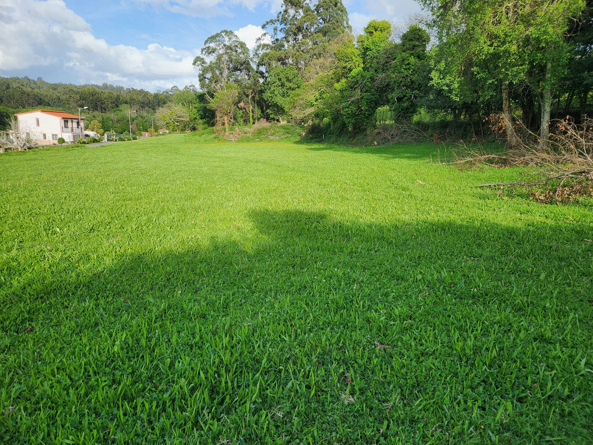 4534022c-e828-4e79-b6ca-312bb5ff76ba