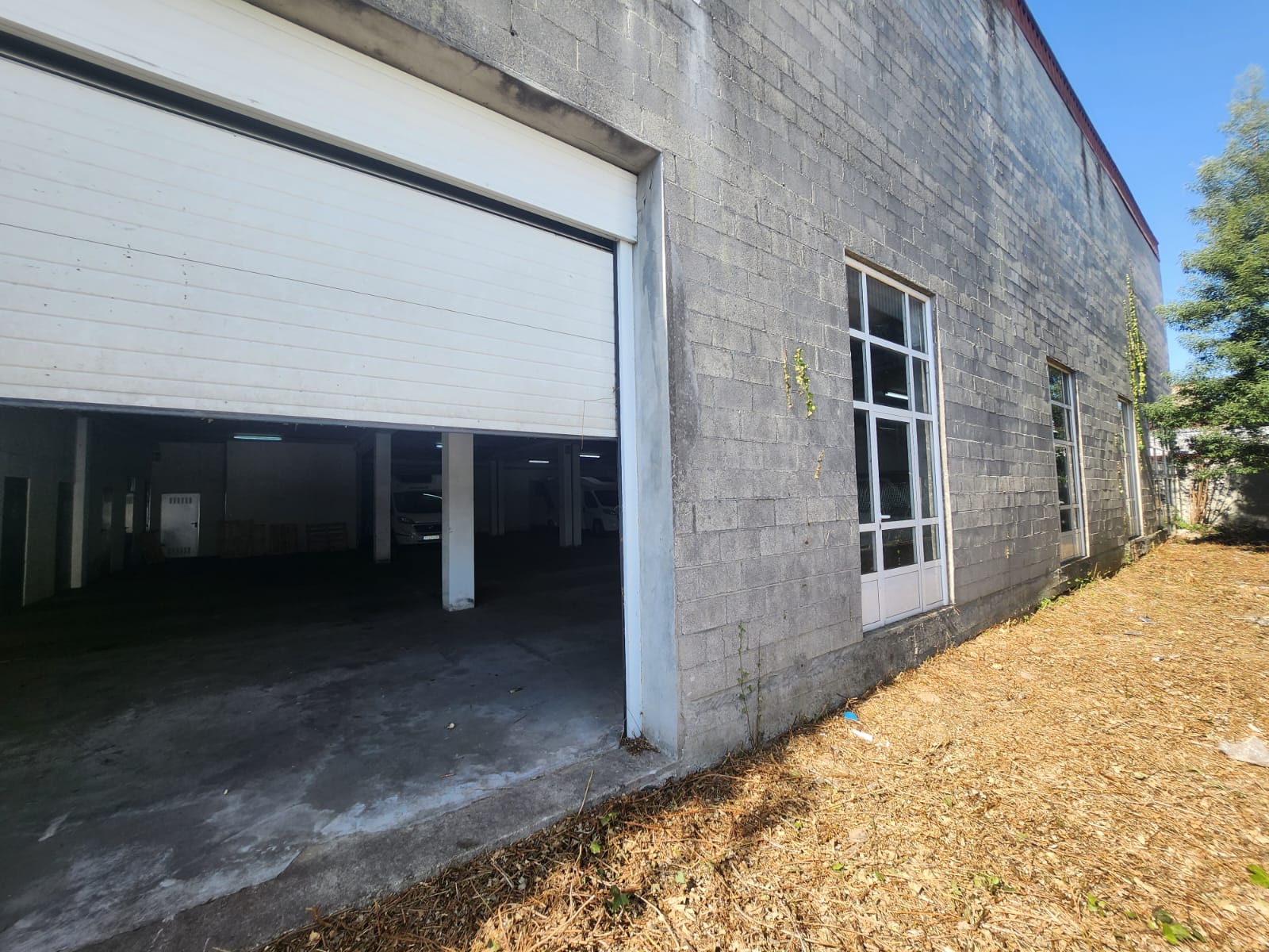 581c0e16-fbdb-43c5-814e-e830a8a355e1