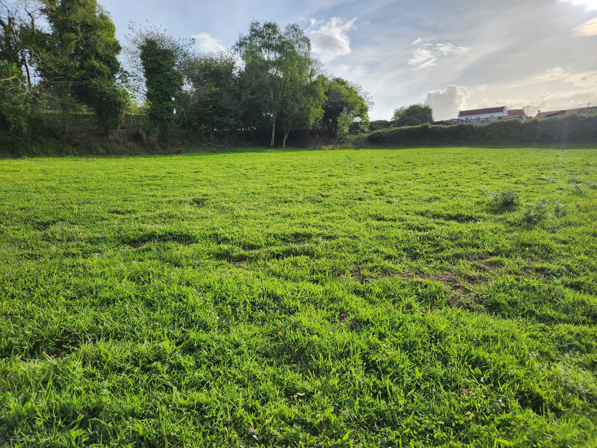 5b8ac224-9cdd-4d35-857a-82e8b9d2589a