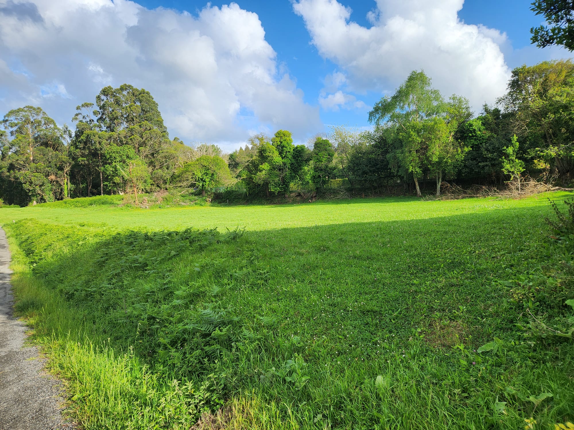 77932739-b850-48e4-a31b-19f29df35db3