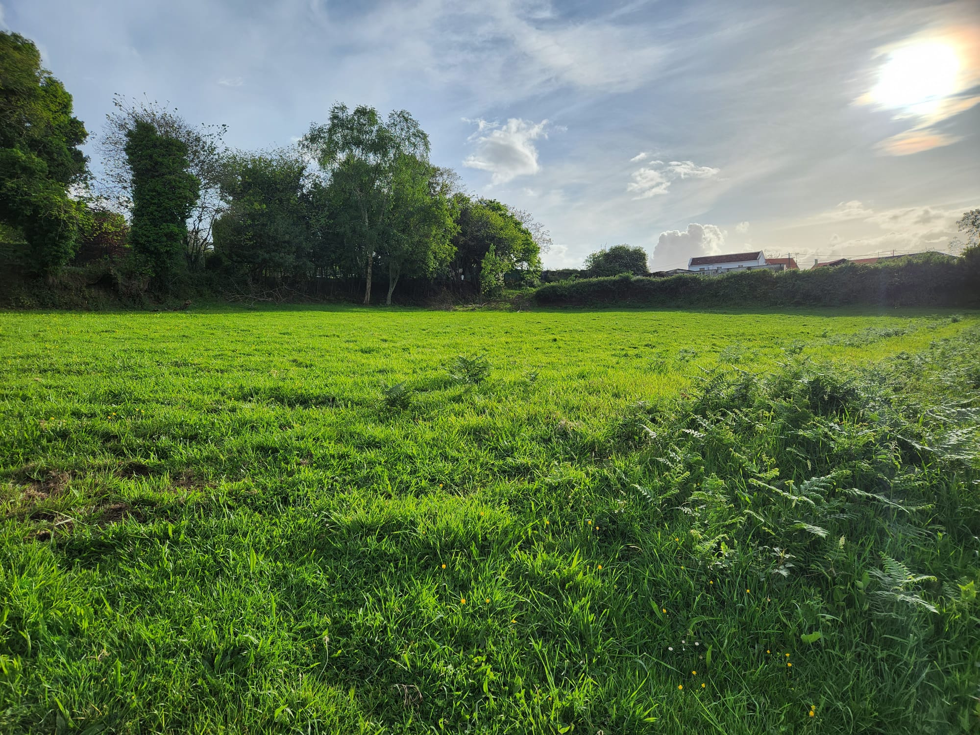 9c8a2f9c-632f-4d87-b47a-34194235019f