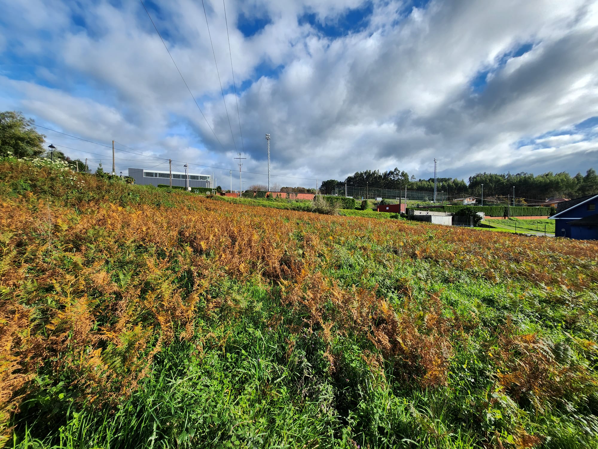 209d3696-9ec0-44b3-b43a-0f1dd72df327