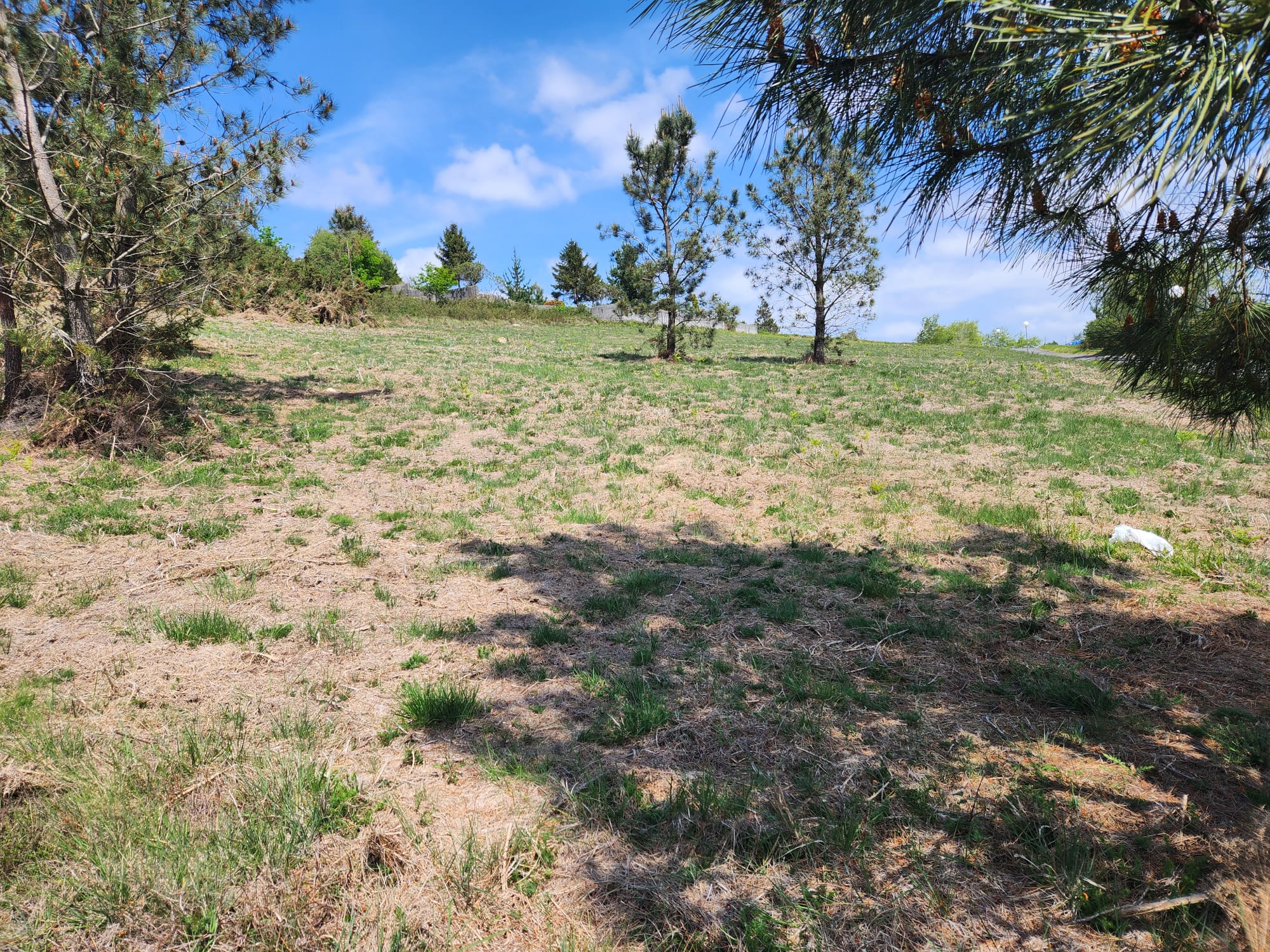 70e2df11-af49-4c44-967c-1f8dabac07e9