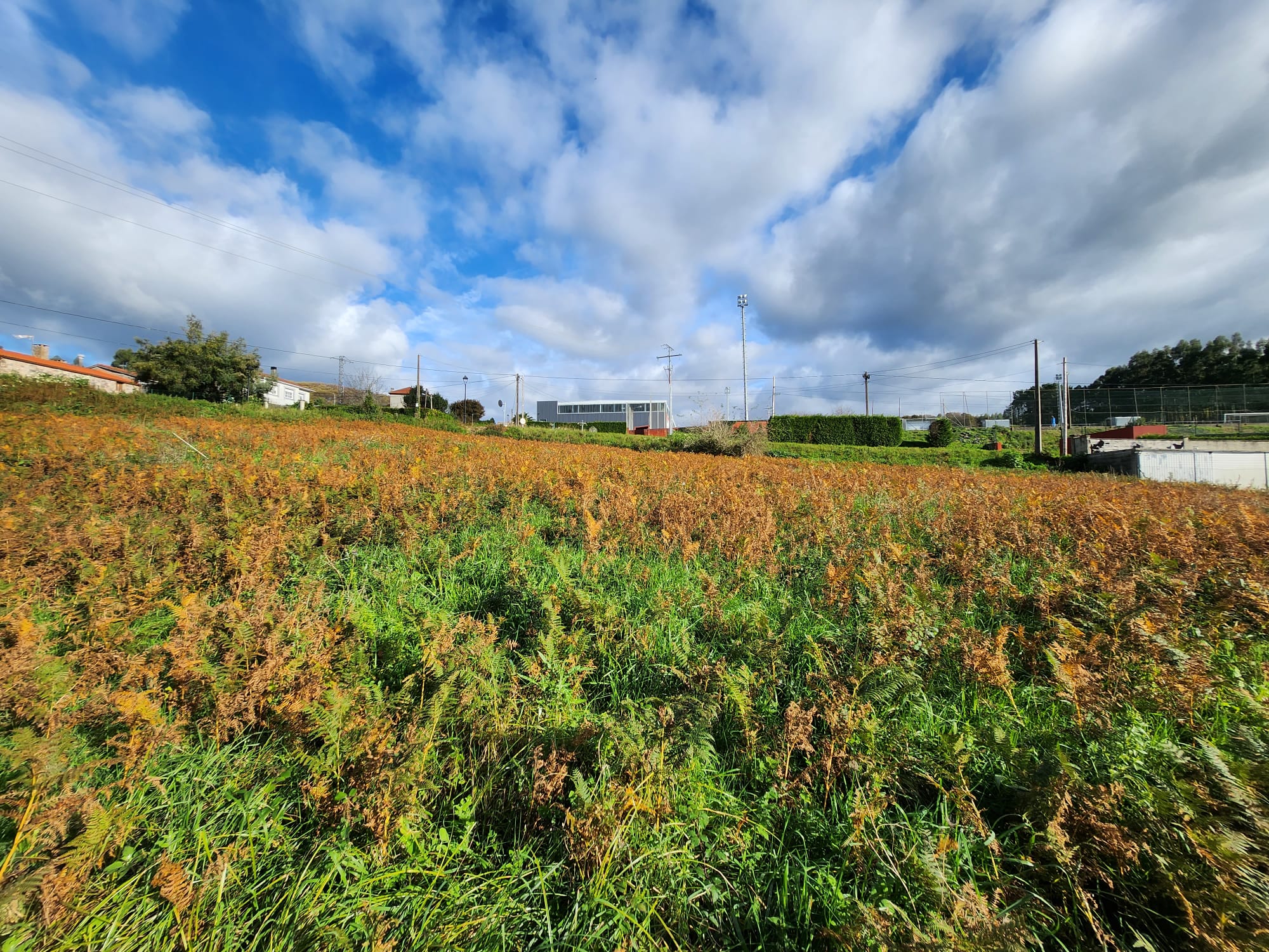 8d03c4f0-7eb7-4d46-840f-e413adf14b57