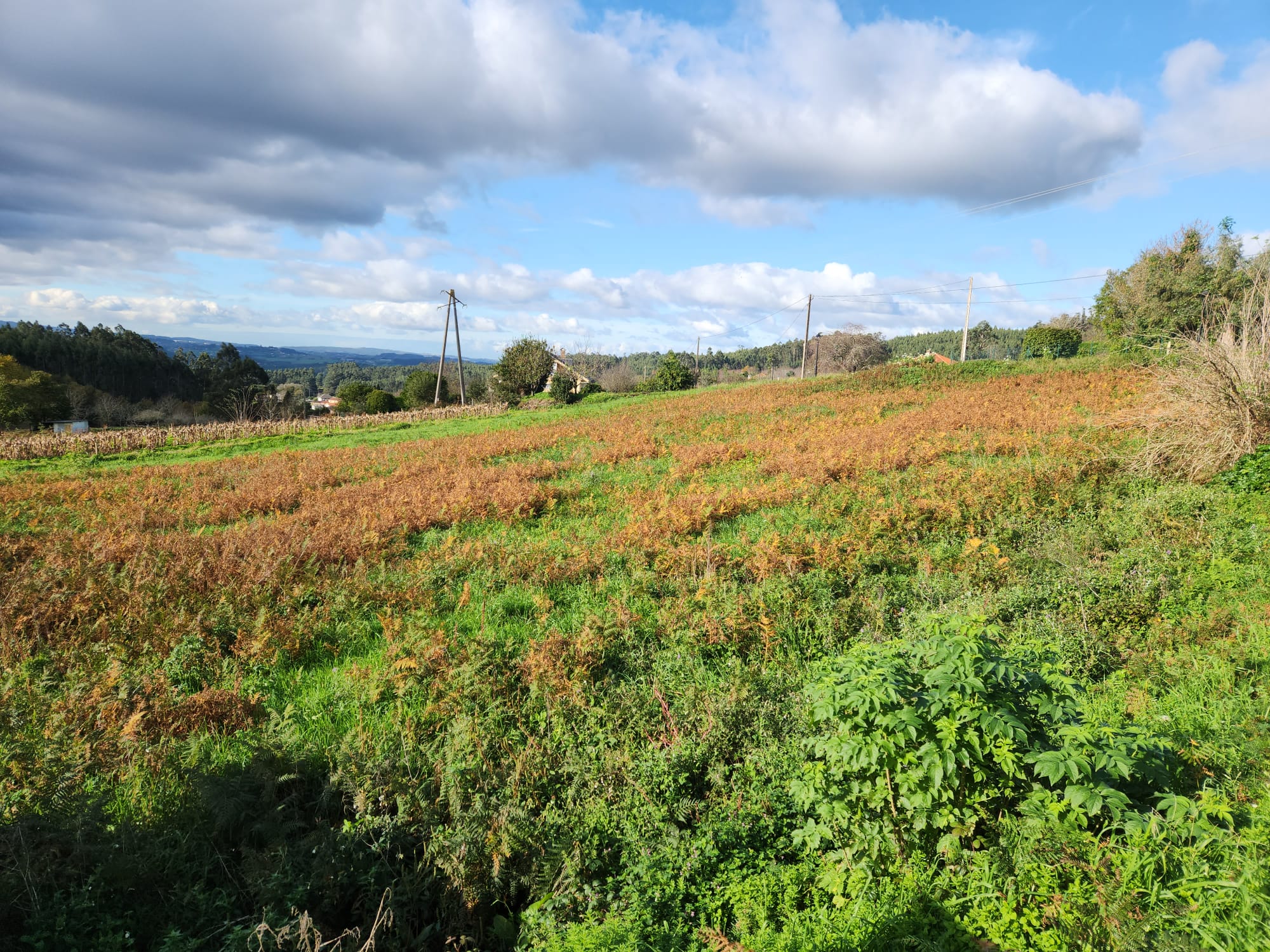 bb291788-7c7e-434c-b1a9-ebdd551e88b7