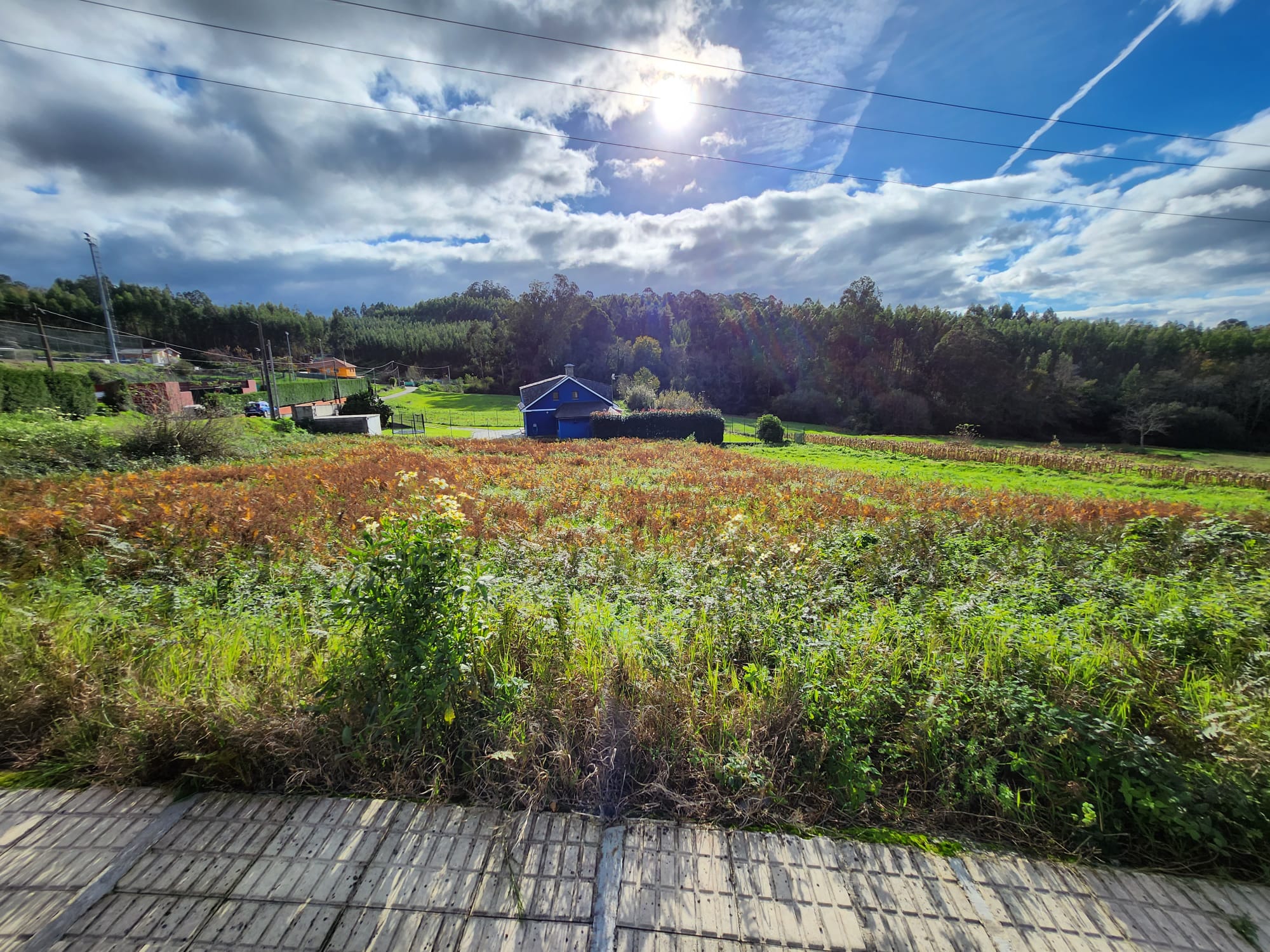 c6eb6669-a02b-4800-b207-242ba414cd5b