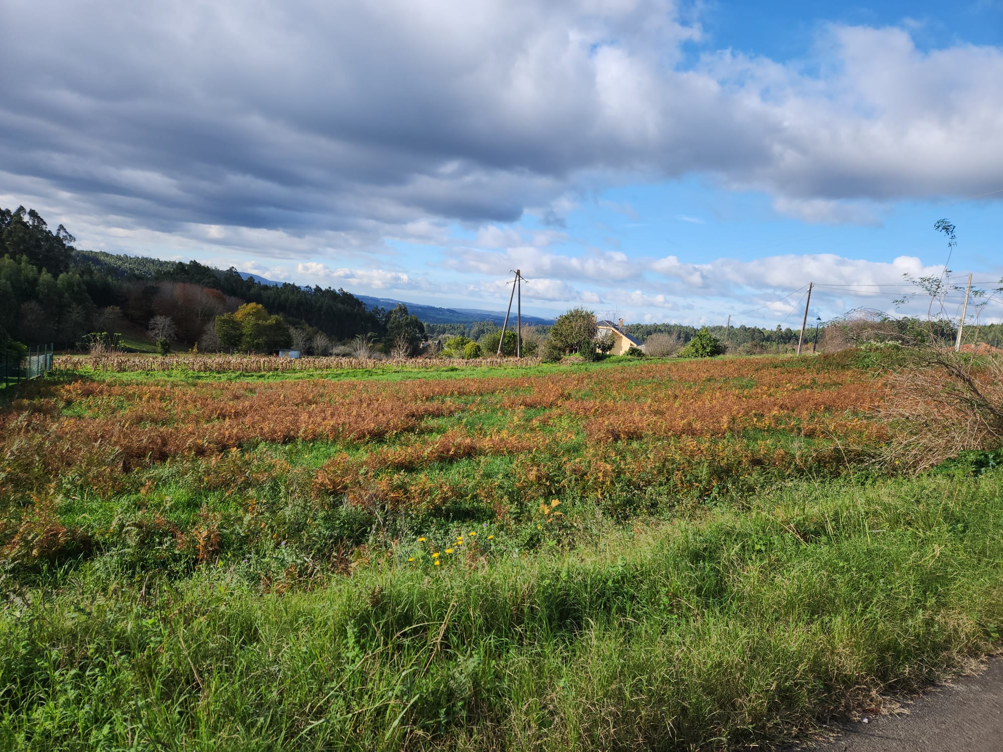 ee0678fb-4ddd-4c1d-b170-96cc914bea96