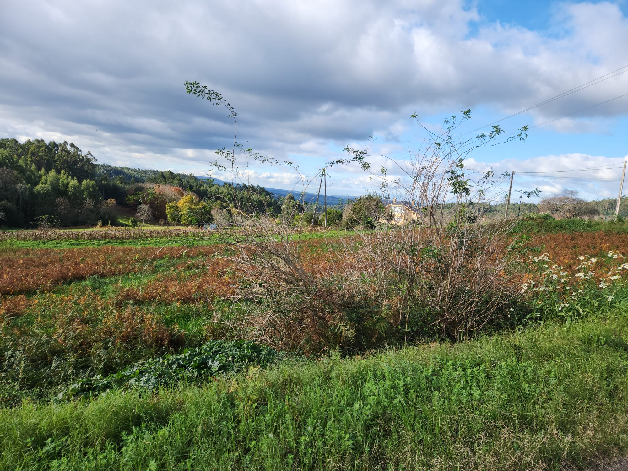 ef93f4a2-b90b-4ca2-be9a-4c3b30fd5dc5