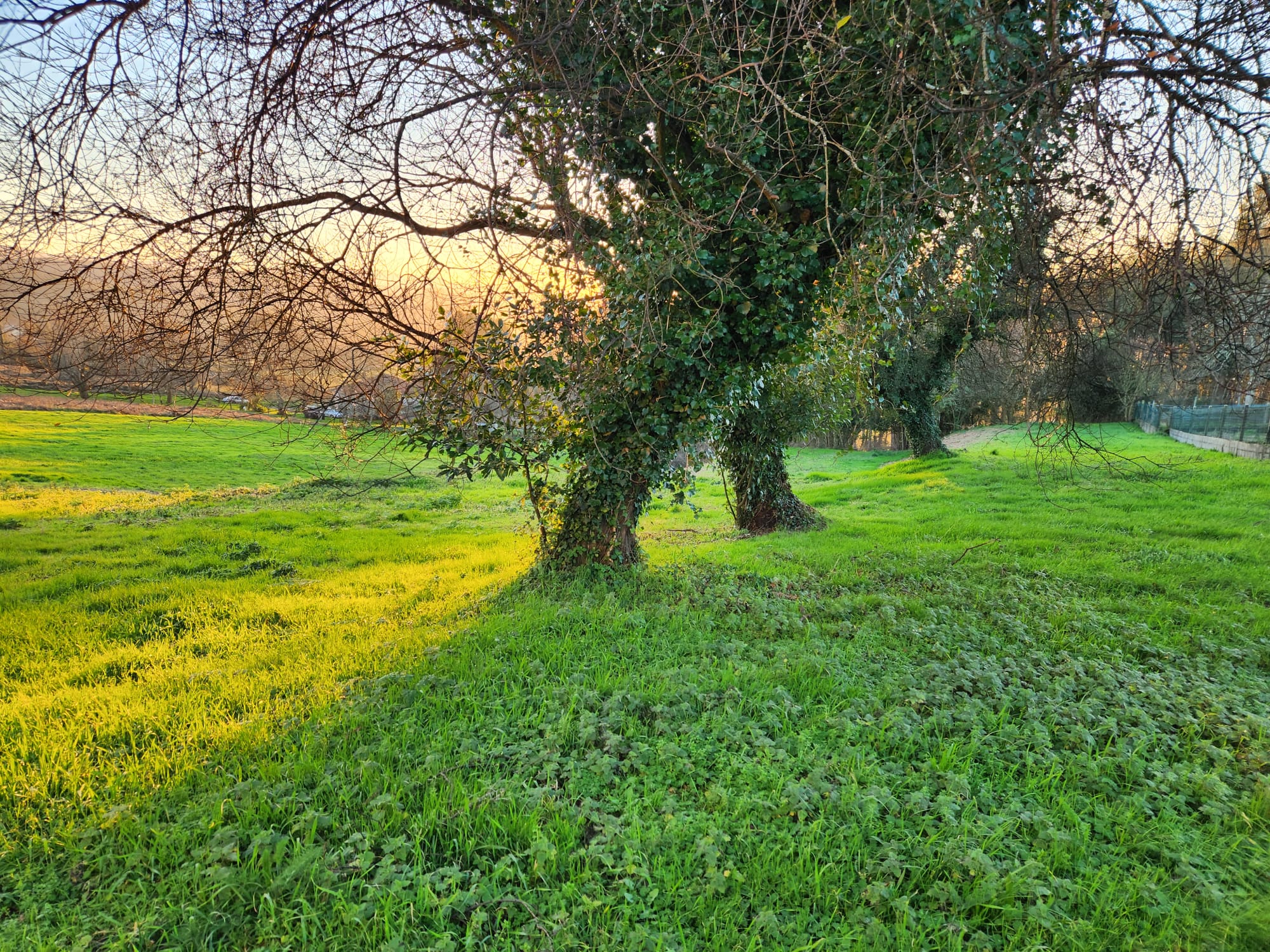 06582fdc-554f-40c0-b620-b45b13f5378e