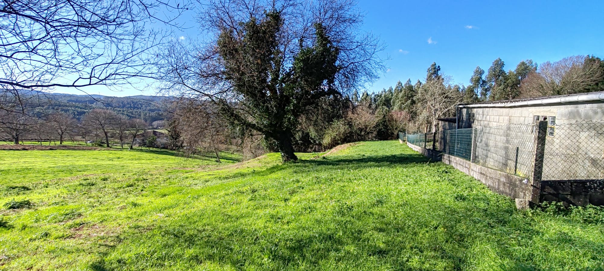 1a83d4fc-d791-4908-97a6-c77b3e43356d