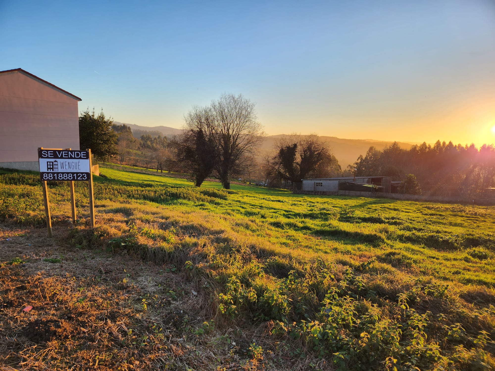 3d4f65f1-536c-4499-9c50-c14333271112