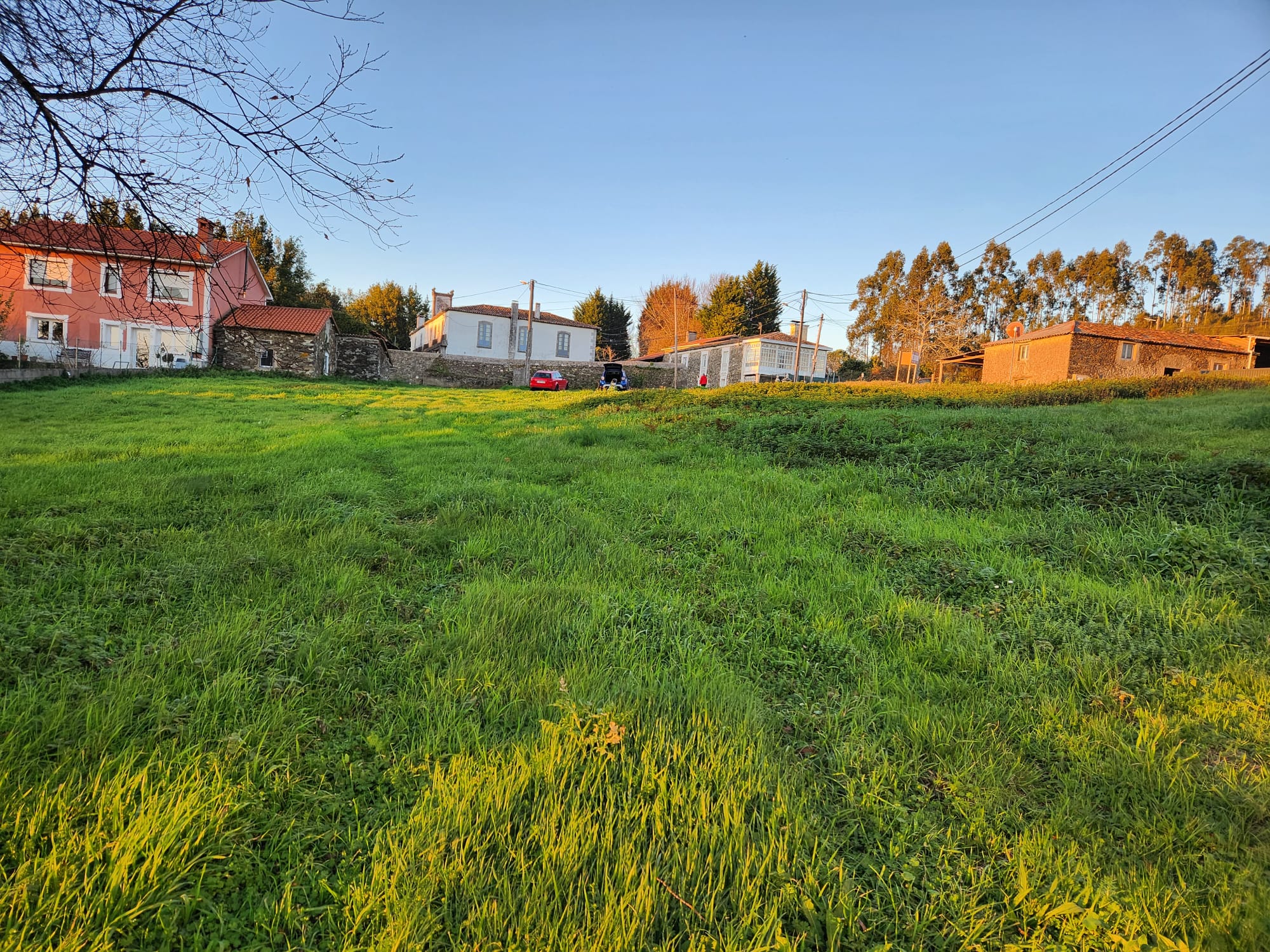 3f678b56-f11a-4af4-a768-df52680bf80f