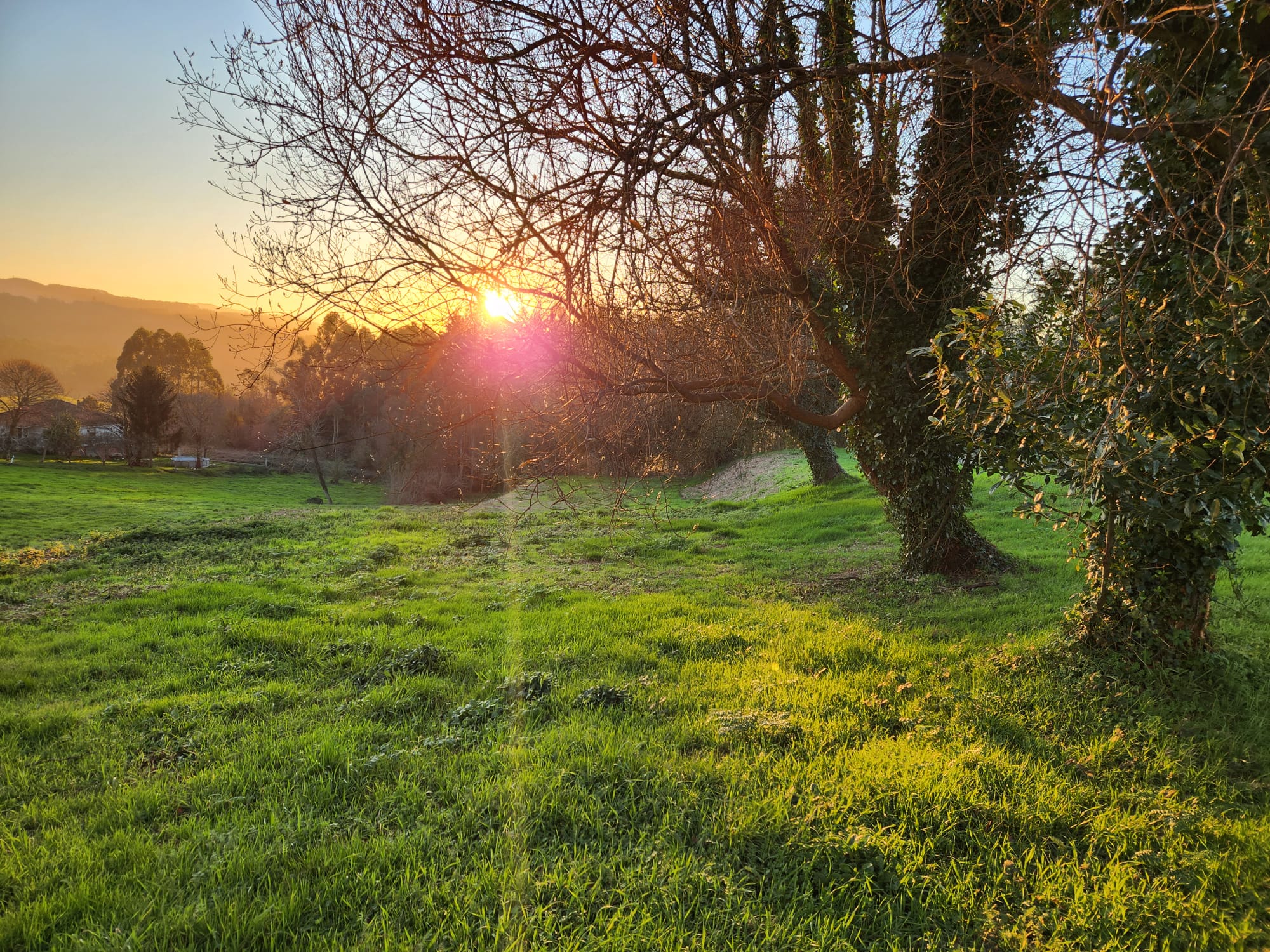 68651c62-b47a-4a2e-9cb1-5d479611f2d7