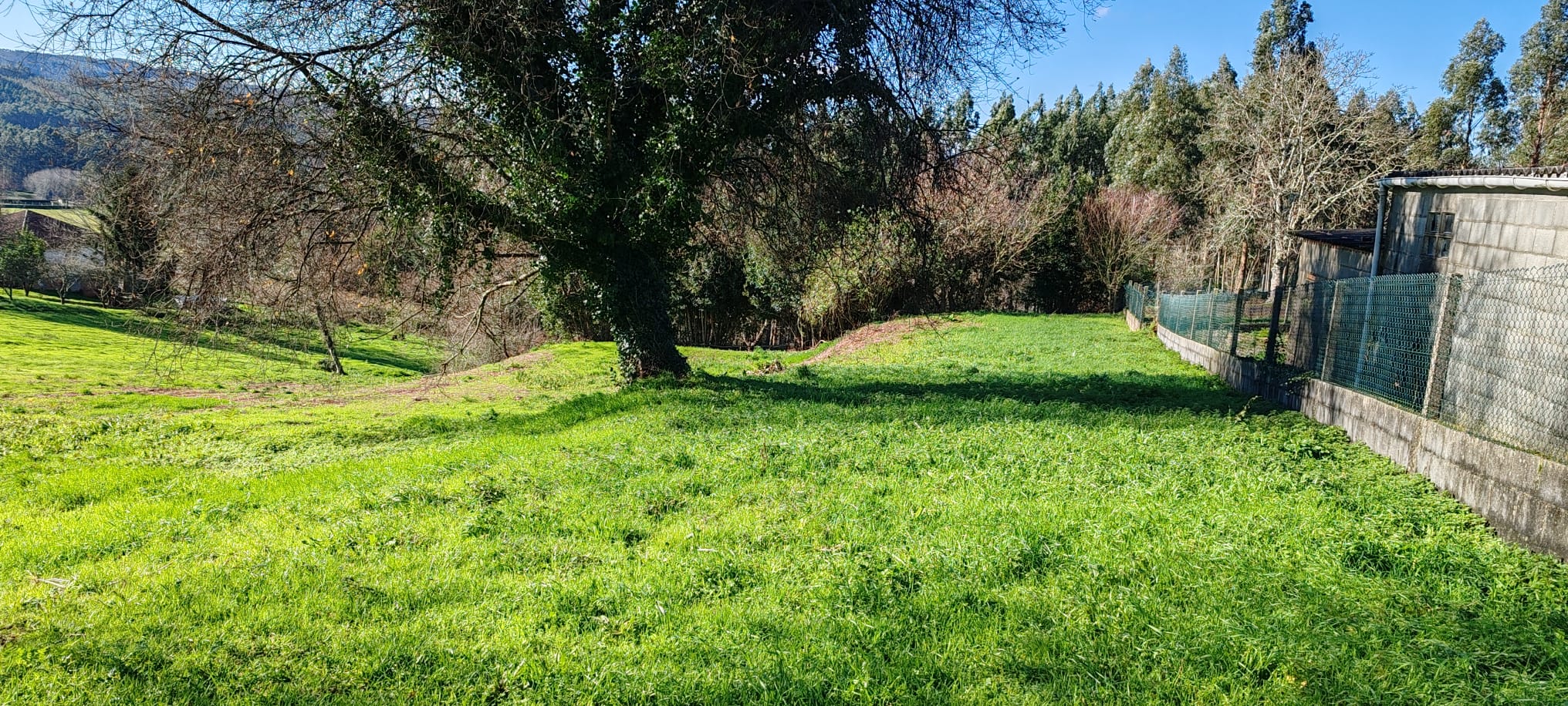 68f43764-c757-4ec0-824c-4672597c3301