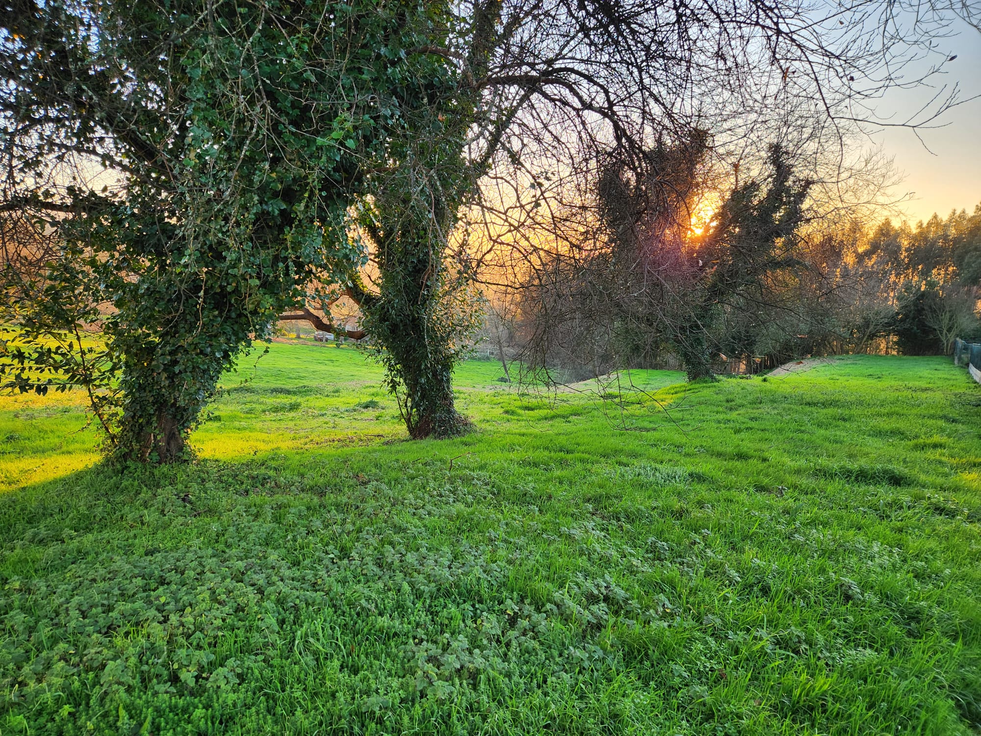 6c28773e-1c5f-43c0-b81d-3a3cf50eaf0f