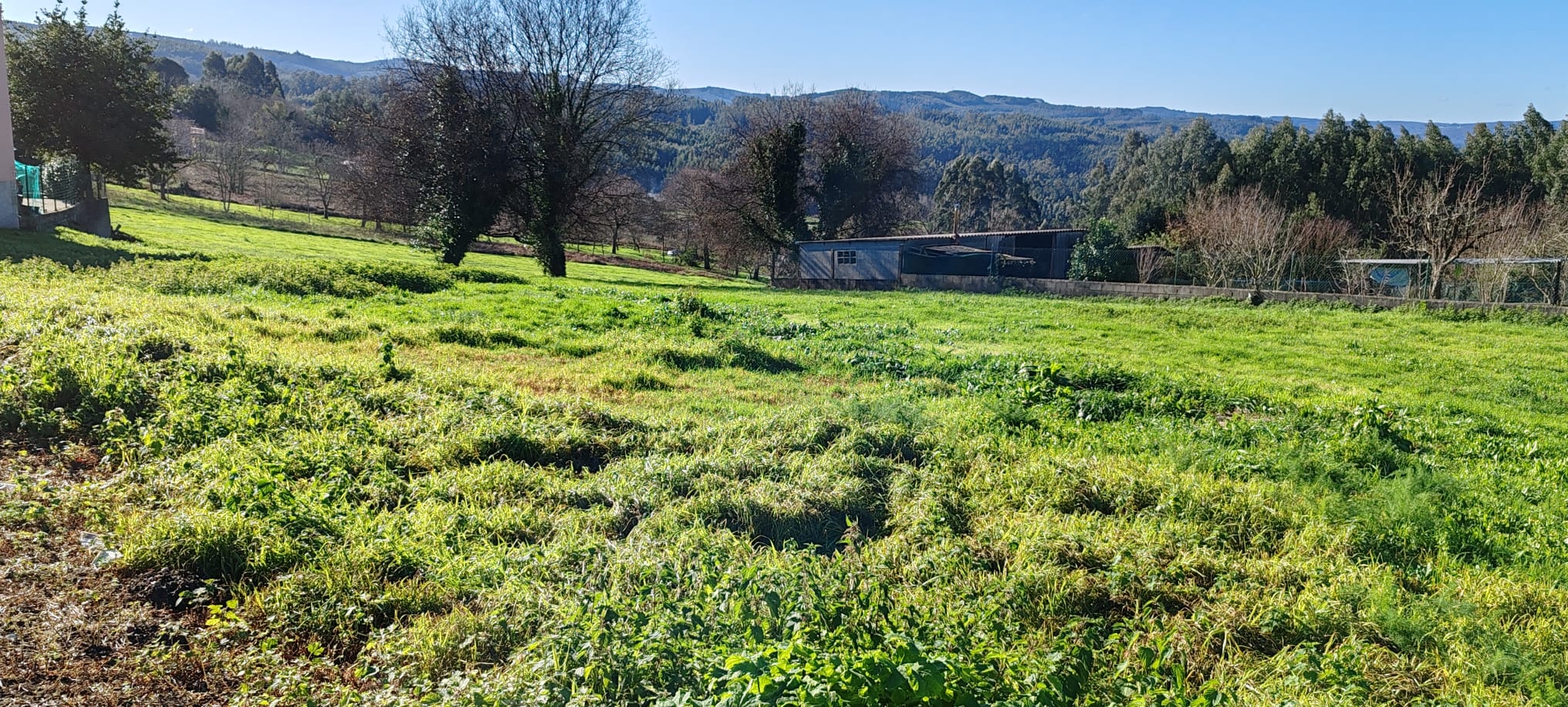 73d9b5b6-d465-4c52-9109-409943576991