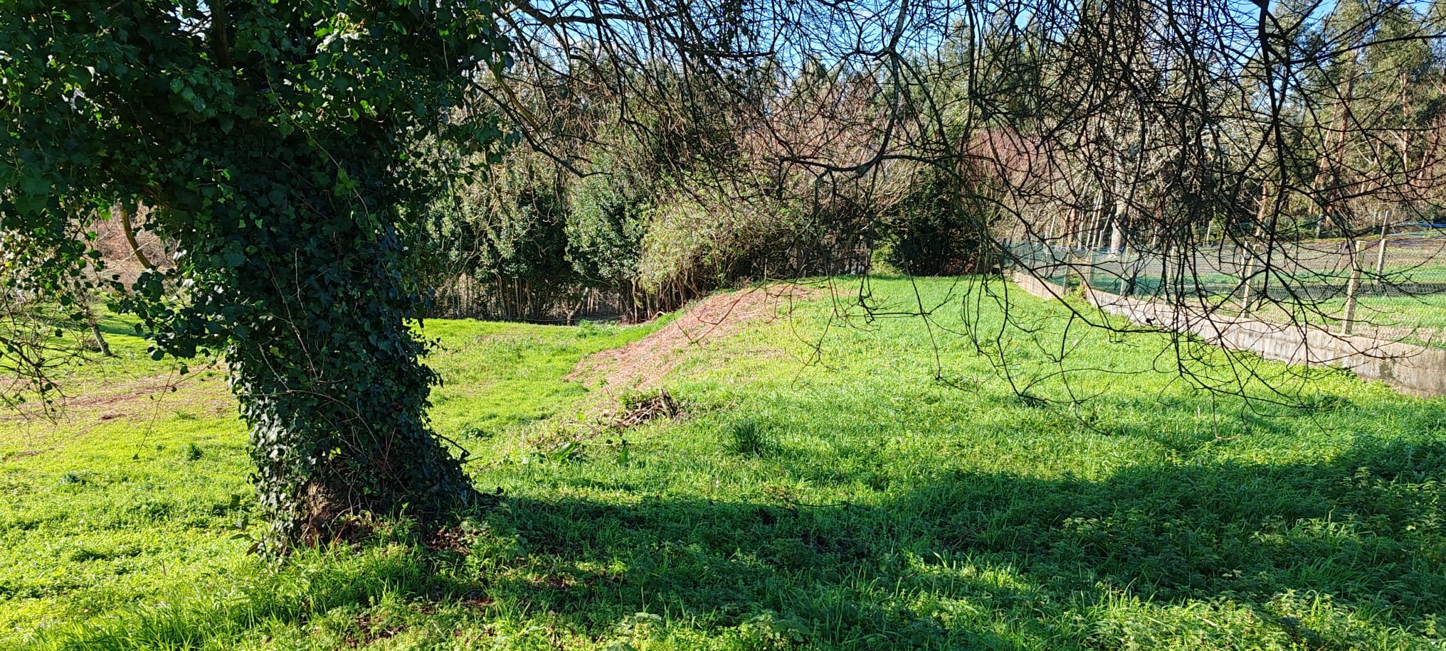 9d1f7b01-2ba4-4e0a-83e9-84d5c12007a2