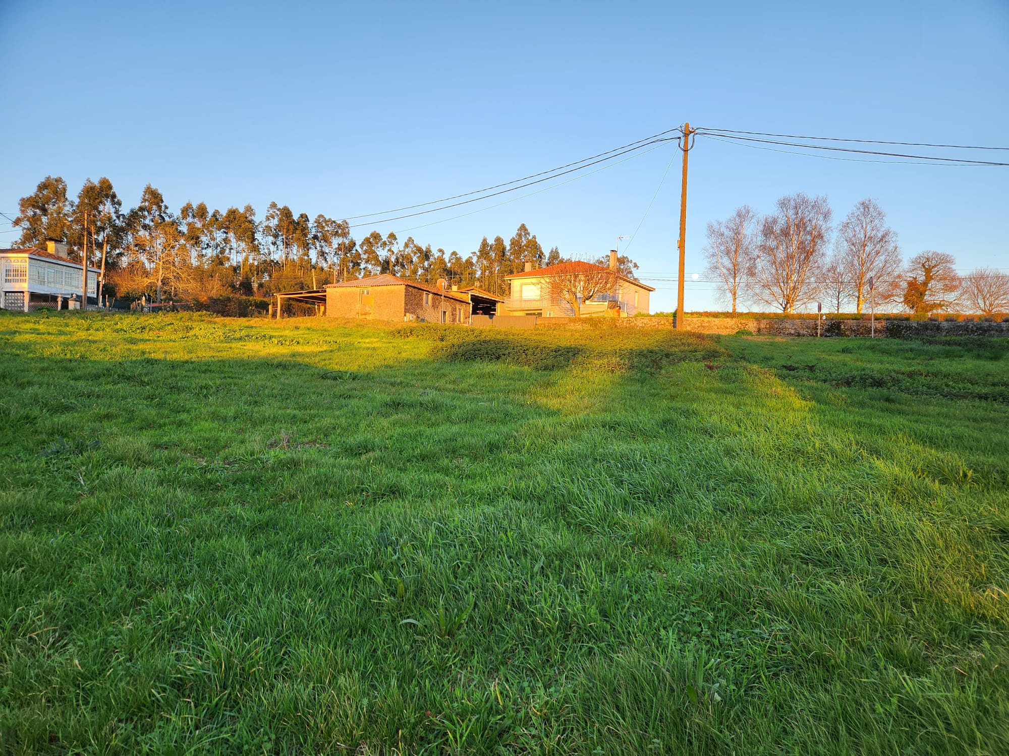 c63d1799-5dd8-412e-ac9d-71b355b8bfa2