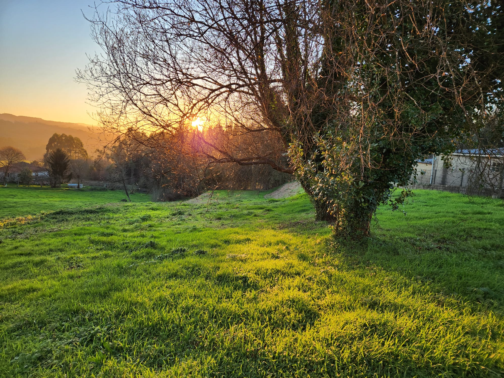 de99e153-5801-43b1-b13b-1a22c5e2ac3e